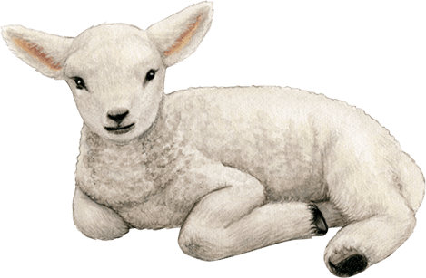 Mobile Graphic Nog vragen?