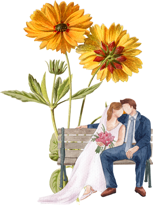 Mobile Graphic Wanneer